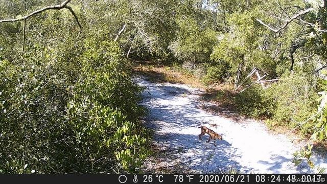 8503 W Freemont Street, Homosassa, FL 34448