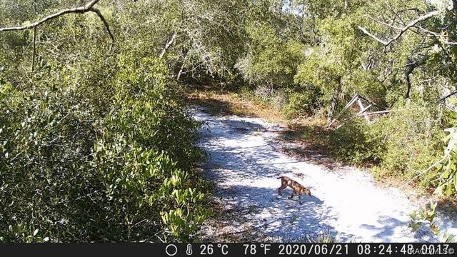 8503 W Freemont Street, Homosassa, FL 34448