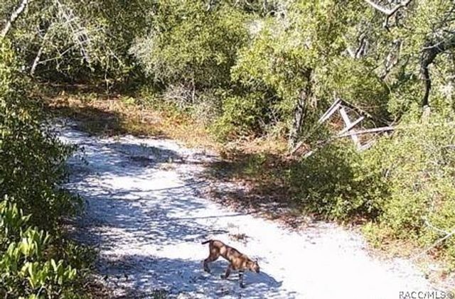 8503 W Freemont Street, Homosassa, FL 34448