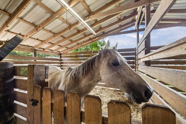 19197 Ramsey Road, Crosby, TX 77532