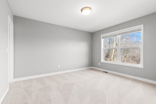 6373 Apple Court, Inver Grove Heights, MN 55077