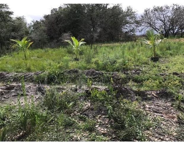 16120 NW 300th Street, Okeechobee, FL 34972