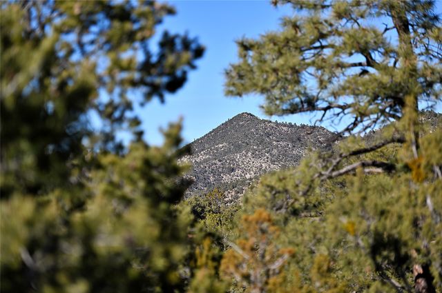 202 Double Arrow Road, Santa Fe, NM 87505