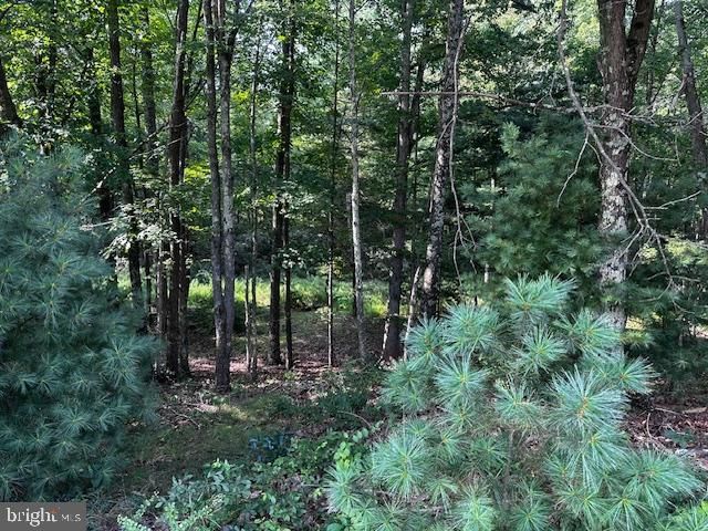 1217 BARTON RD, Breezewood, PA 15533