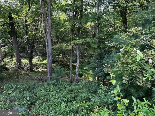 1217 BARTON RD, Breezewood, PA 15533