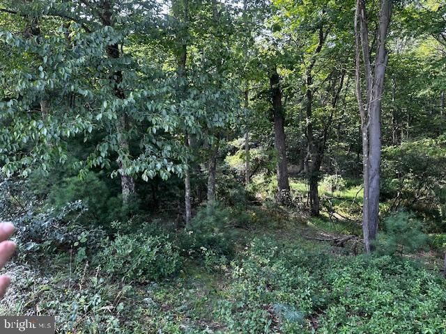 1217 BARTON RD, Breezewood, PA 15533