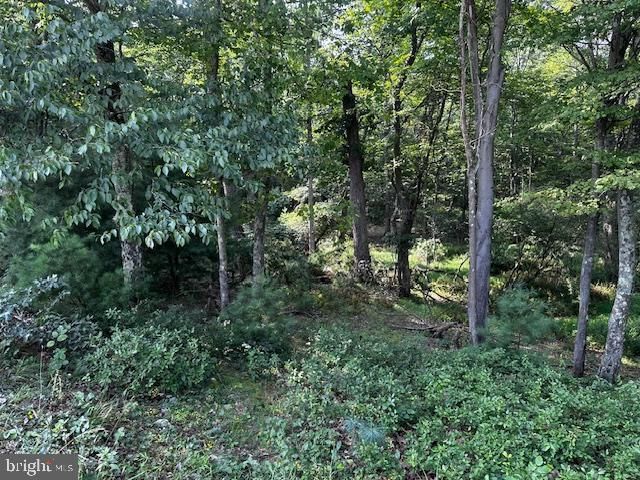 1217 BARTON RD, Breezewood, PA 15533