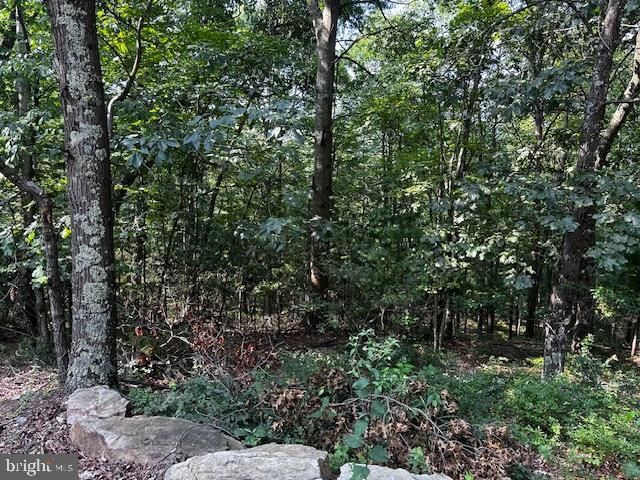 1217 BARTON RD, Breezewood, PA 15533