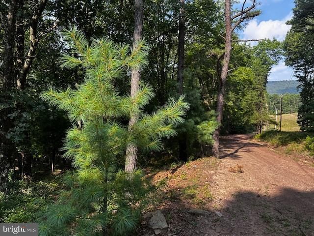 1217 BARTON RD, Breezewood, PA 15533