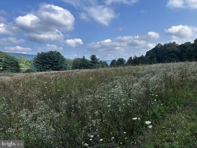 1217 BARTON RD, Breezewood, PA 15533