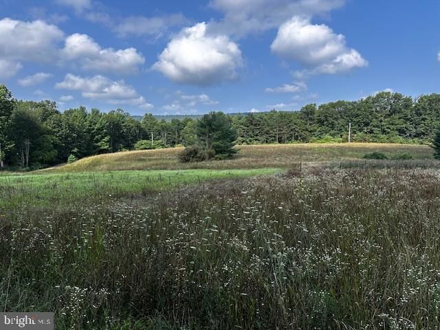 1217 BARTON RD, Breezewood, PA 15533