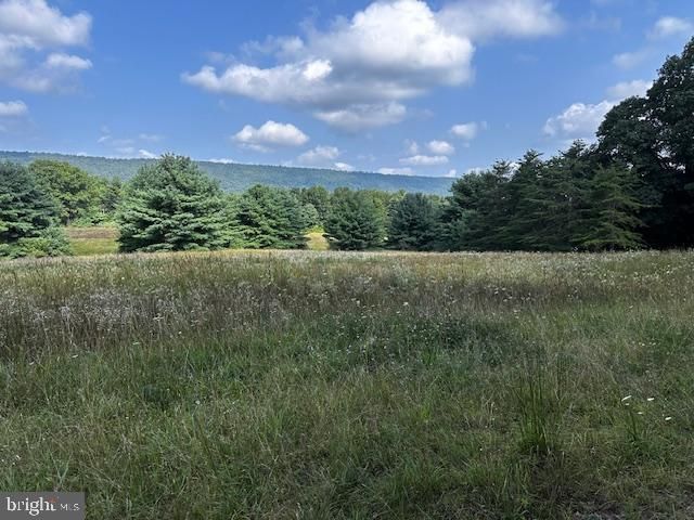 1217 BARTON RD, Breezewood, PA 15533