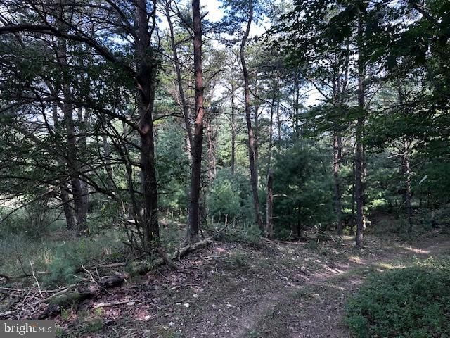 1217 BARTON RD, Breezewood, PA 15533