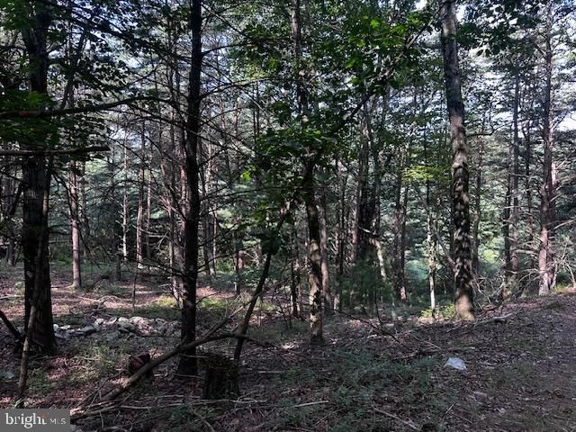 1217 BARTON RD, Breezewood, PA 15533