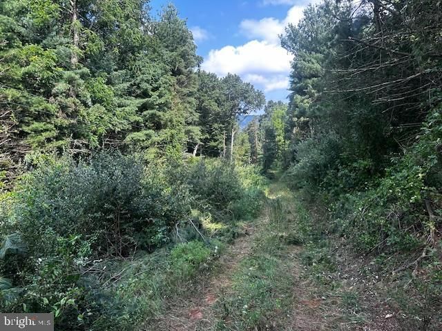 1217 BARTON RD, Breezewood, PA 15533