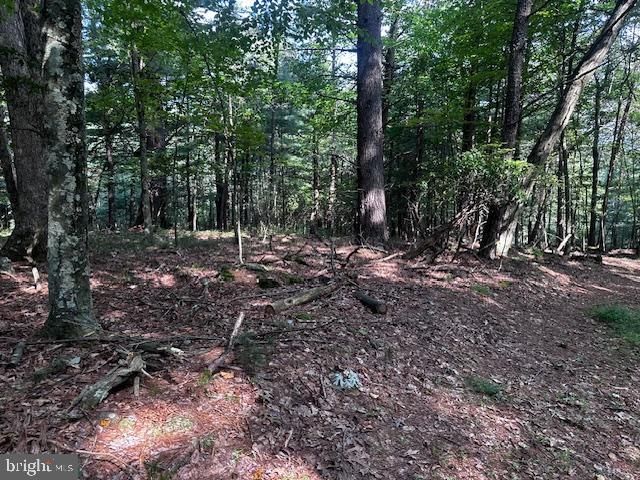 1217 BARTON RD, Breezewood, PA 15533