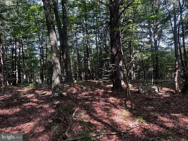 1217 BARTON RD, Breezewood, PA 15533