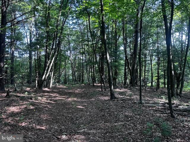 1217 BARTON RD, Breezewood, PA 15533