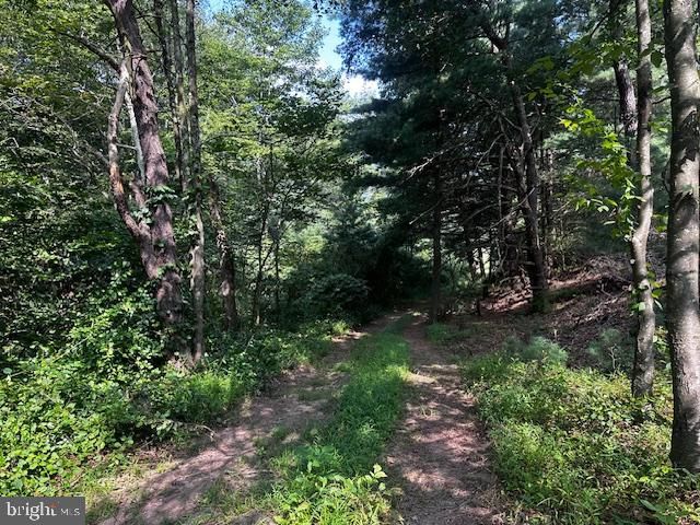 1217 BARTON RD, Breezewood, PA 15533