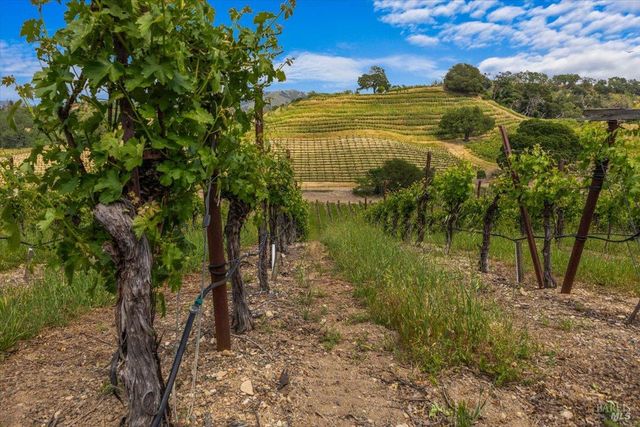 13404 Flora Ranch Rd, Healdsburg, CA 95448