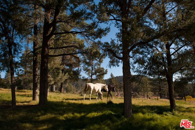 33224 Seymour Canyon Road, Frazier Park, CA 93225