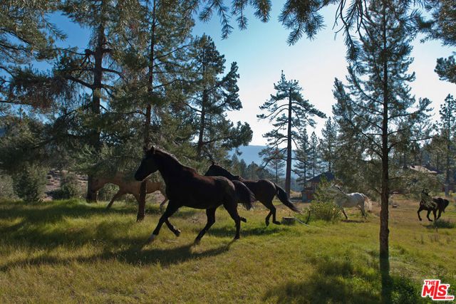 33224 Seymour Canyon Road, Frazier Park, CA 93225