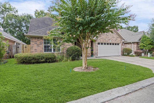 15231 Scenic Woodland Drive, Conroe, TX 77384