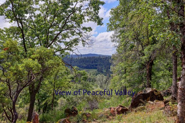 1480 Sage Rd, Colfax, CA 95713