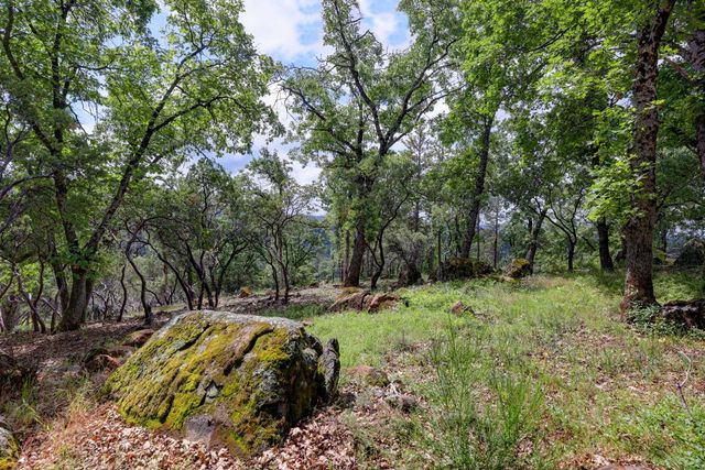 1480 Sage Rd, Colfax, CA 95713
