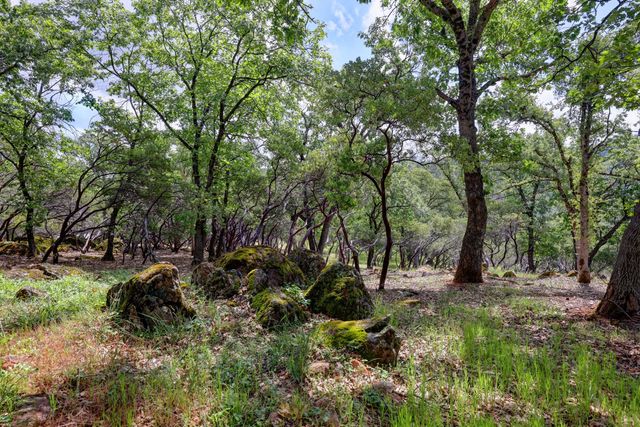 1480 Sage Rd, Colfax, CA 95713
