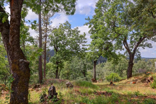 1480 Sage Rd, Colfax, CA 95713