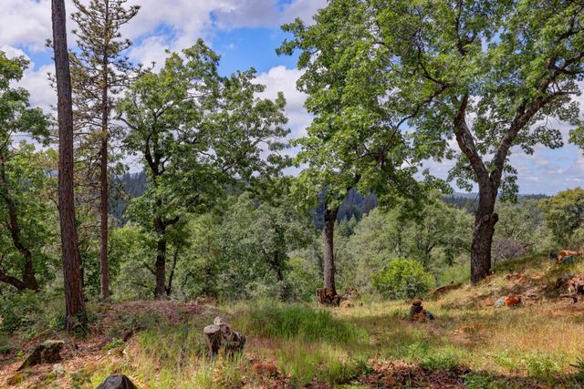1480 Sage Rd, Colfax, CA 95713