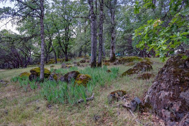 1480 Sage Rd, Colfax, CA 95713