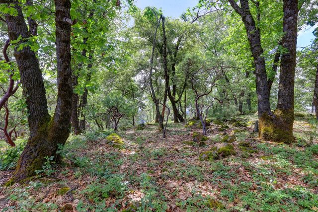 1480 Sage Rd, Colfax, CA 95713