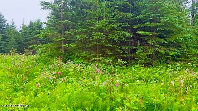 458 Roy Way, Kenai, AK 99611