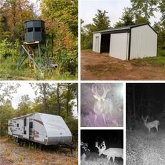 38100 Ogles Ridge Road, Dexter City, OH 45727