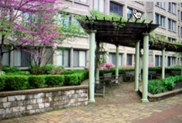 1731 Beacon 1213, Brookline, MA 02445