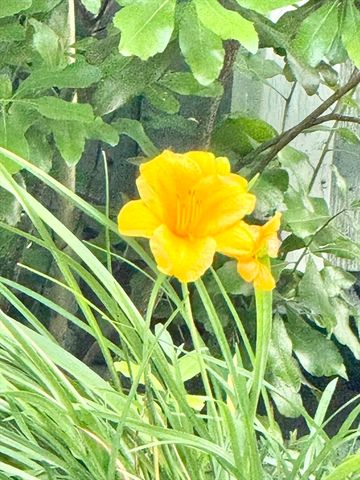 12 Wintergreen Rd, Mashpee, MA 02649