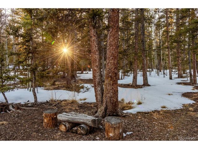 850 Georgia Pass Lookout, Jefferson, CO 80456