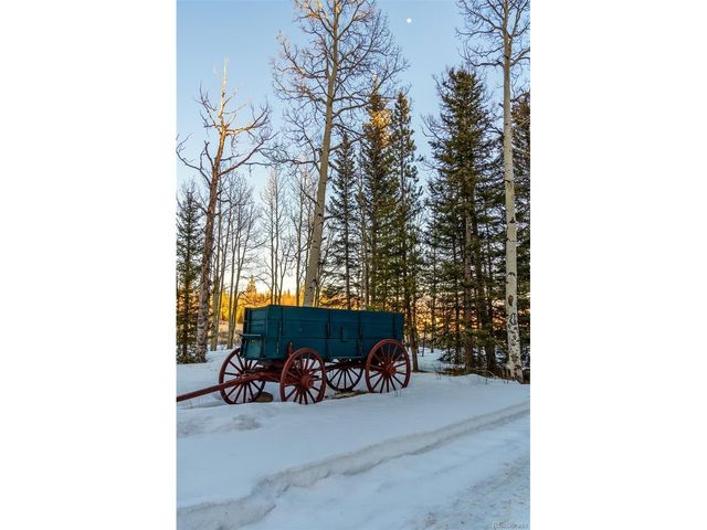 850 Georgia Pass Lookout, Jefferson, CO 80456