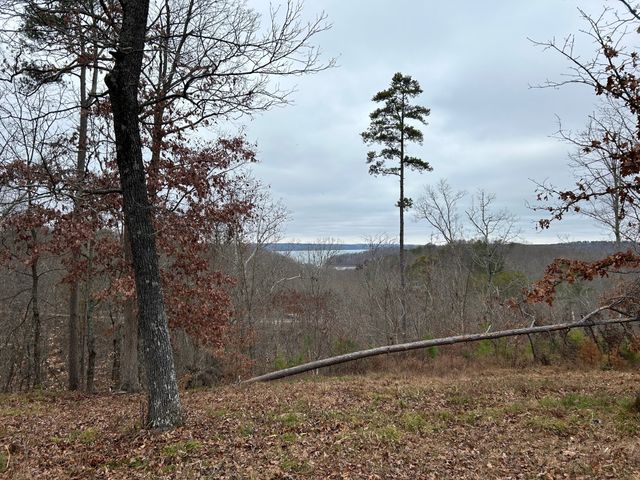 0 Crestwood Dr, Waverly, TN 37185