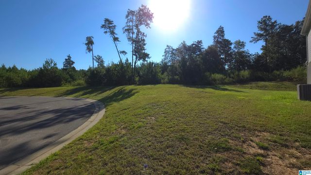 5307 CEDAR RIDGE ROAD, Mount Olive, AL 35117
