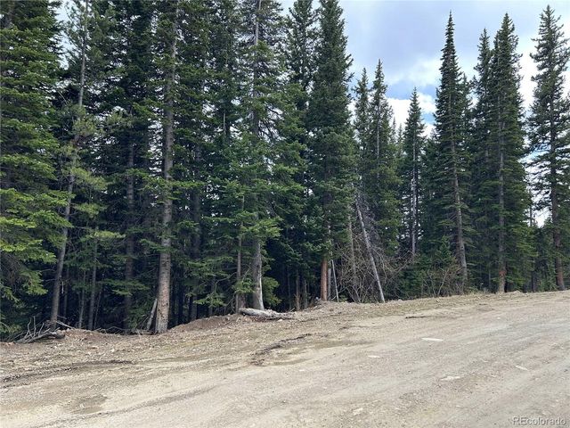 Texas Cir, Idaho Springs, CO 80452