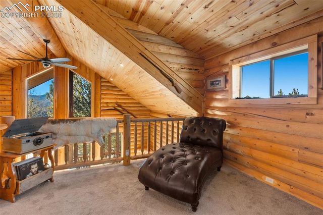 26 Blue Spruce Road, Divide, CO 80814