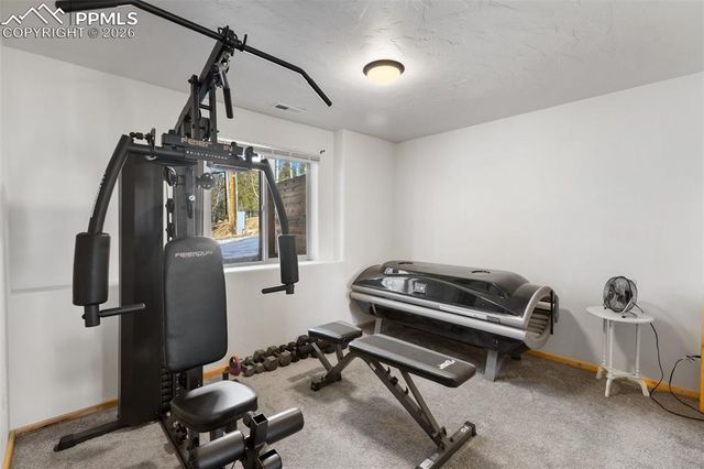 26 Blue Spruce Road, Divide, CO 80814