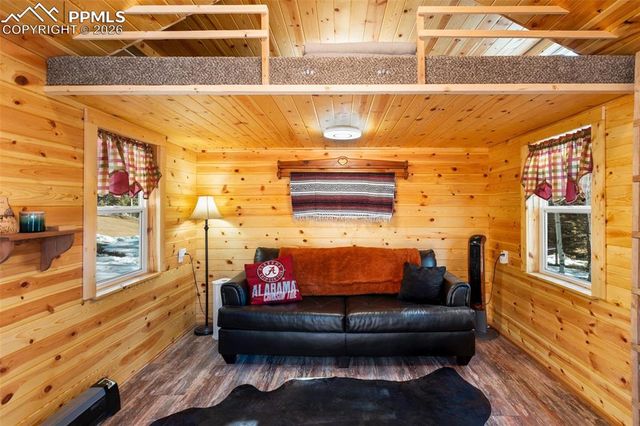 26 Blue Spruce Road, Divide, CO 80814