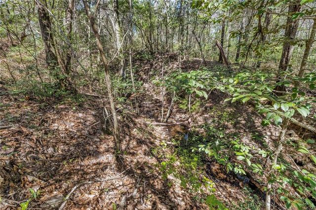 7700 Iron Rush Road, Wilmer, AL 36587