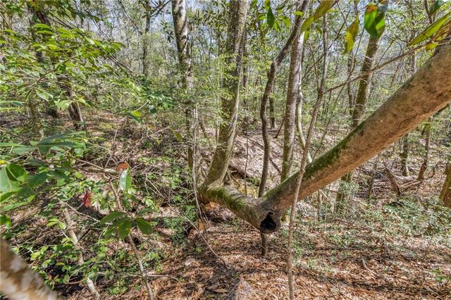 7700 Iron Rush Road, Wilmer, AL 36587