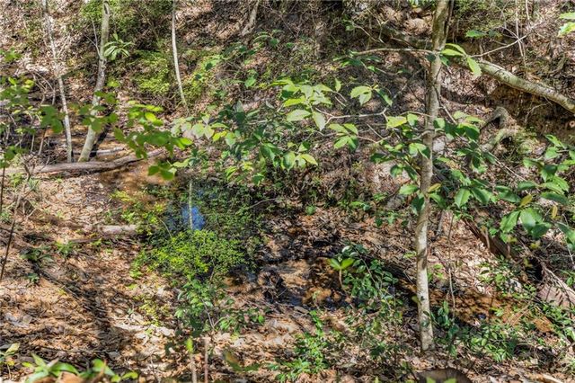 7700 Iron Rush Road, Wilmer, AL 36587
