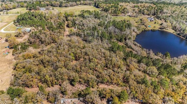 7700 Iron Rush Road, Wilmer, AL 36587